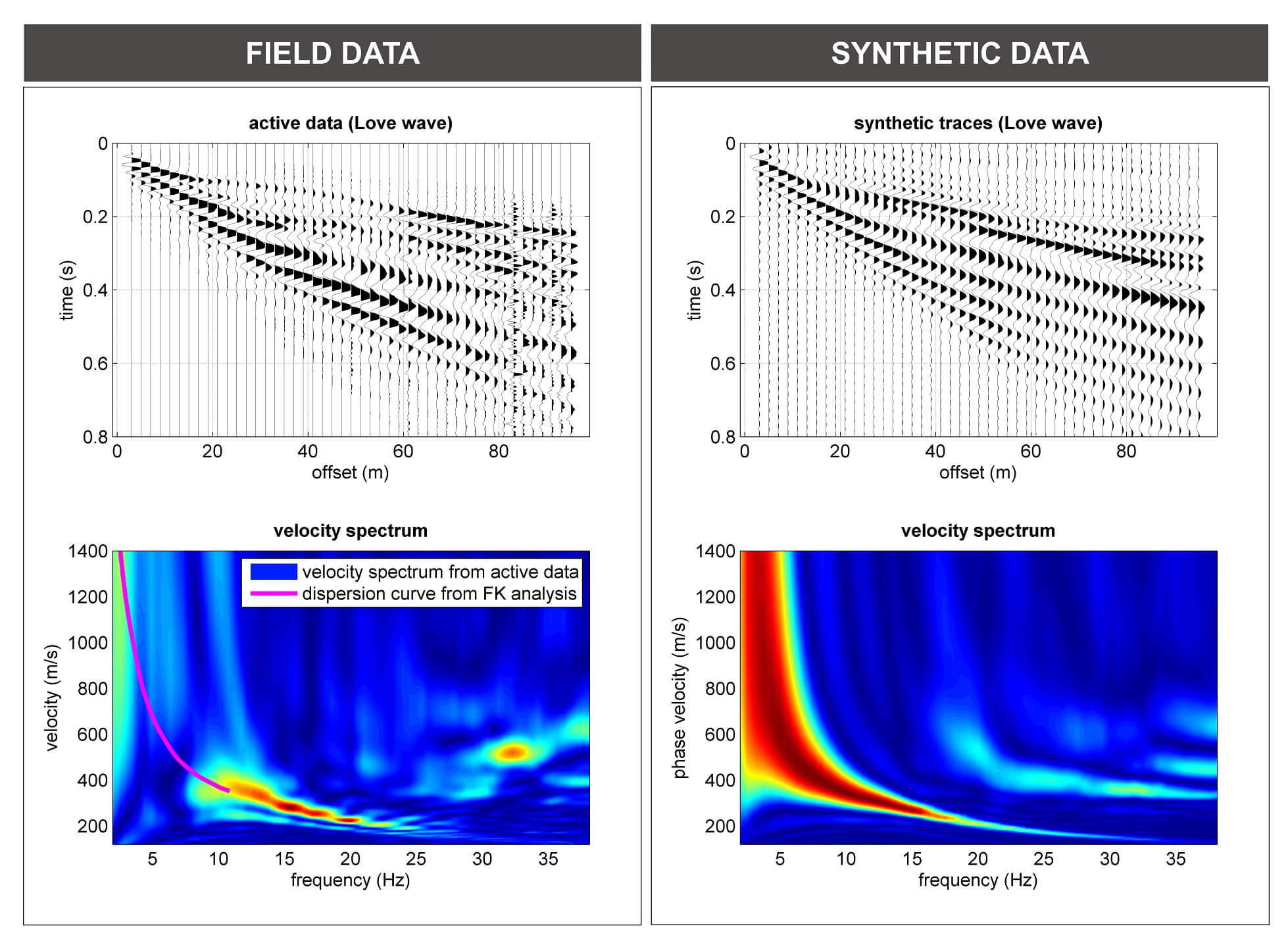 onde di Love (THF): dati di campagna (sulla sinistra) e sismogrammi sintetici per elaborazione FVS